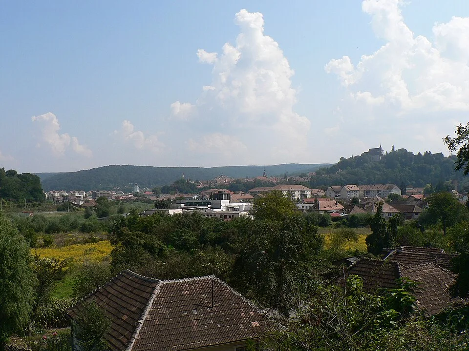 Vue sur les toits et les églises de Sighișoara, en Transylvanie